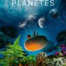 Carton Planètes